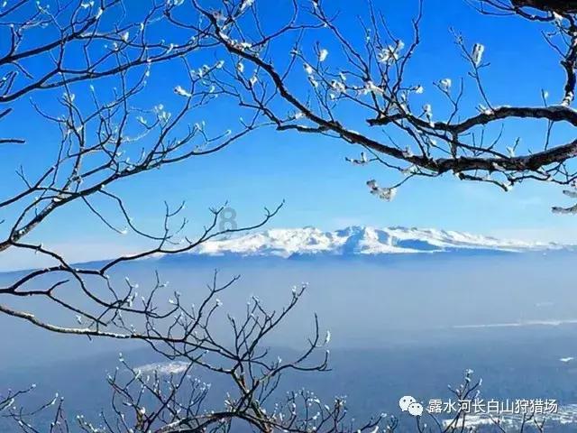 新春将至年味浓(2)